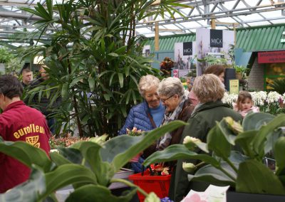 2018-11-28 Wicherumloo naar Eurofleur Leusden (8)